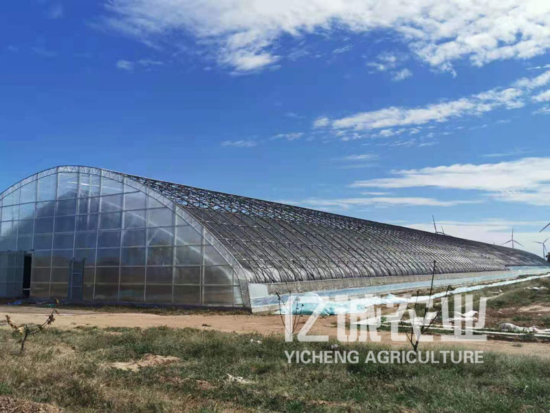 日光溫室大棚建設 日光溫室大棚建設
