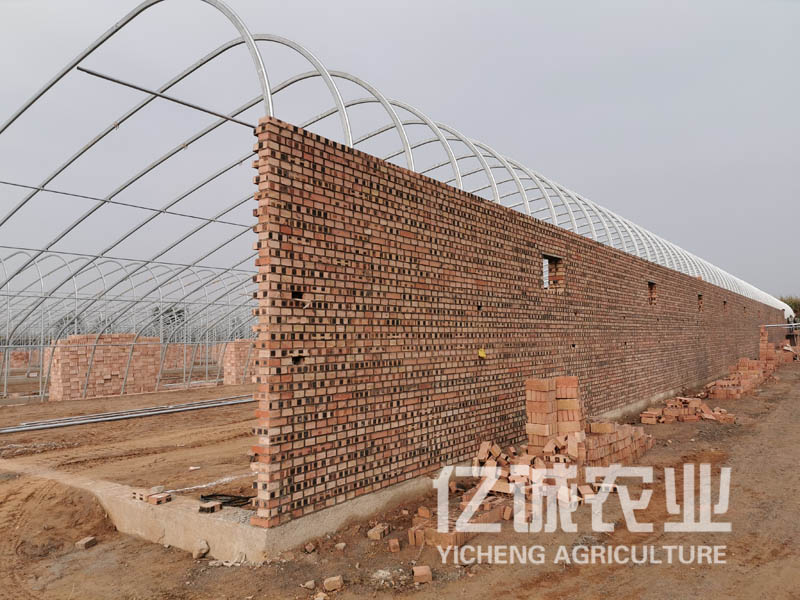 磚墻日光溫室大棚 磚墻日光溫室大棚