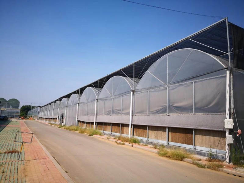 玻璃溫室大棚建設 玻璃溫室大棚建設