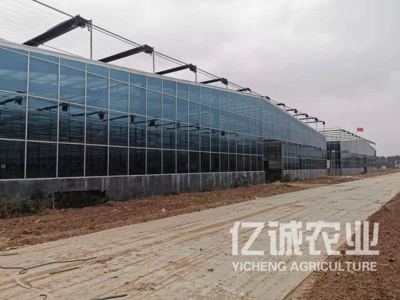 智能溫室建設報價 智能溫室建設報價