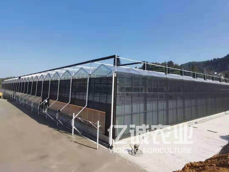 智能溫室大棚 智能溫室大棚