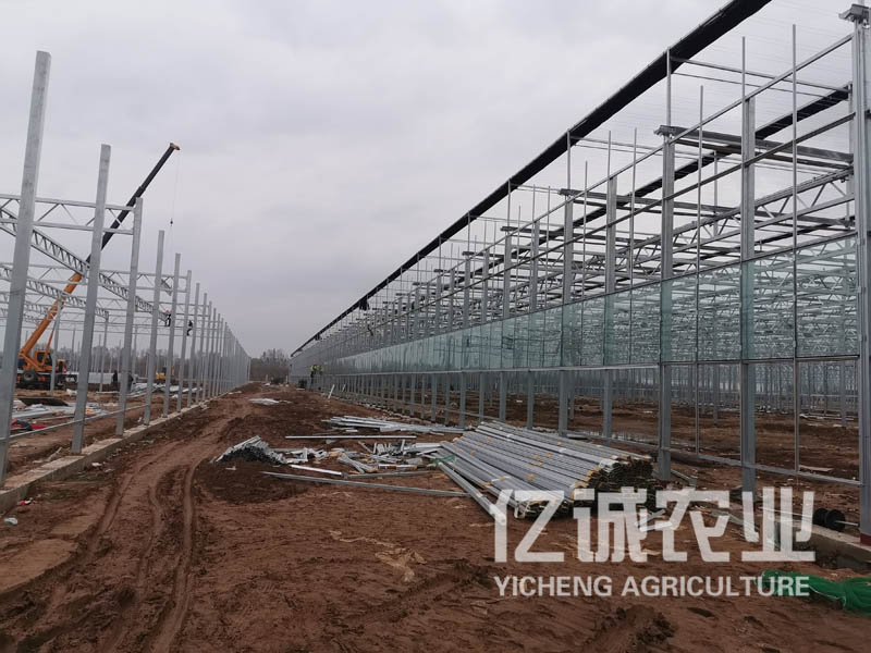 連棟溫室大棚建設廠家