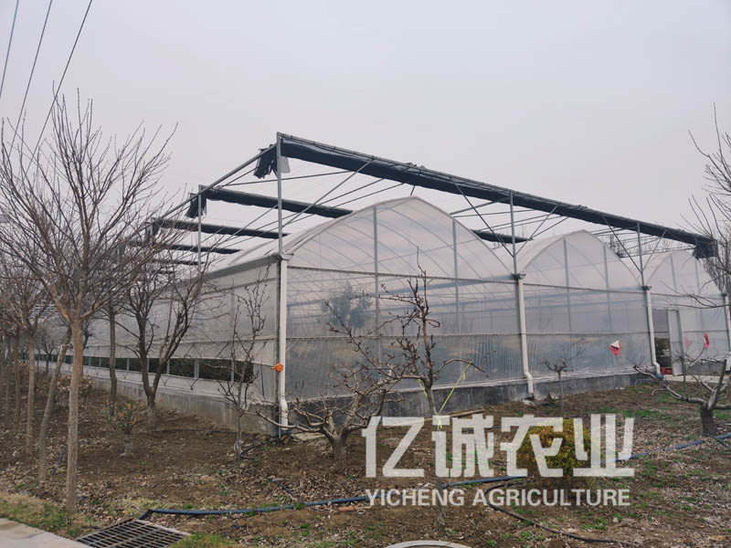 智能溫室大棚 智能溫室大棚