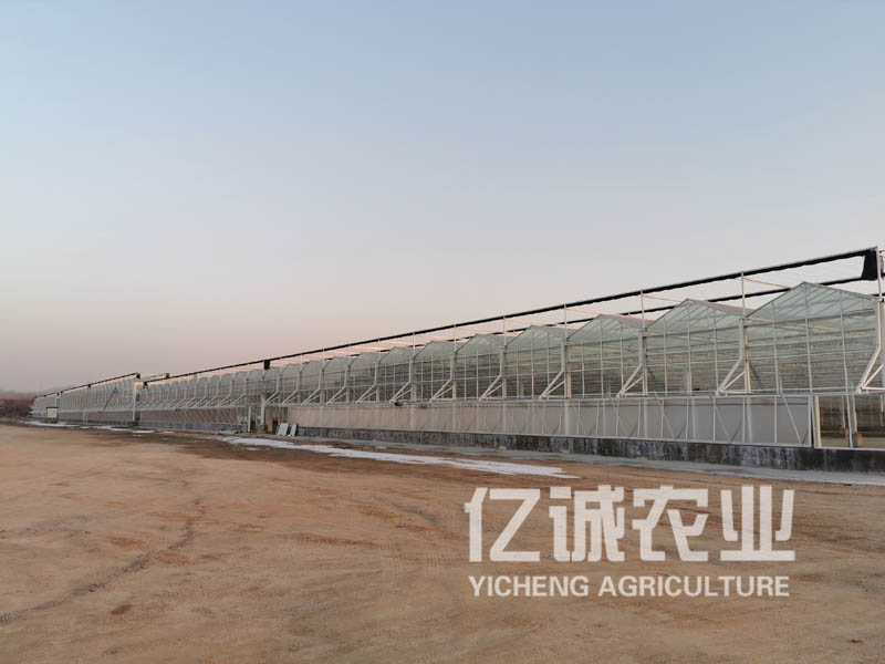 溫室大棚建設 溫室大棚建設