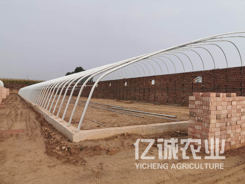 溫室大棚建設廠家 溫室大棚建設廠家