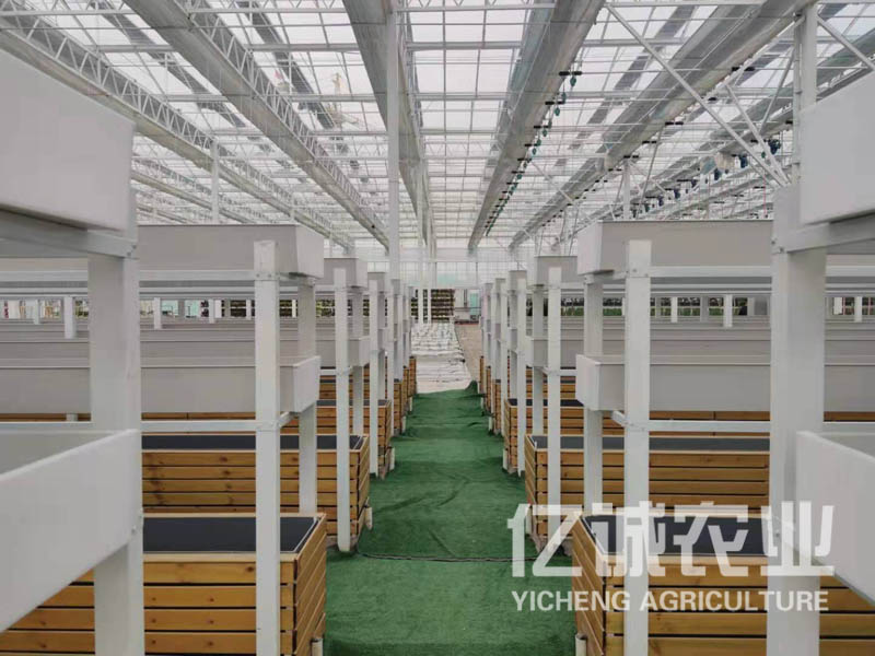 溫室大棚建設(shè) 溫室大棚建設(shè)