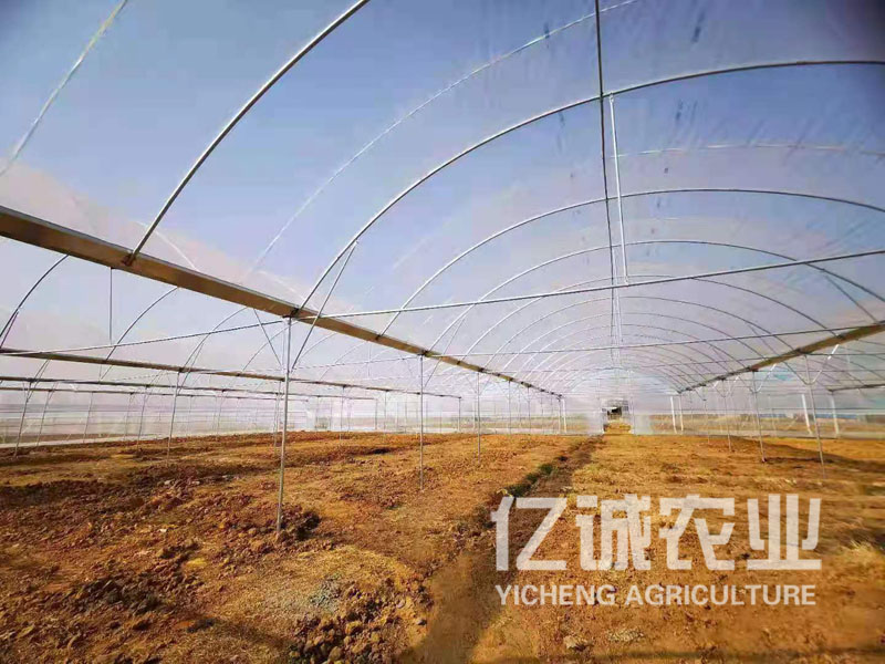 溫室大棚建設 溫室大棚建設