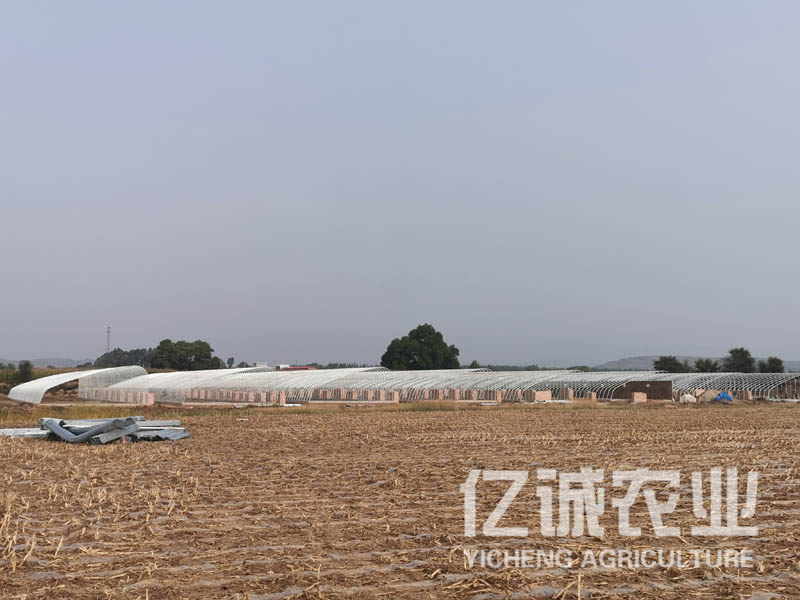 智能日光溫室大棚 智能日光溫室大棚