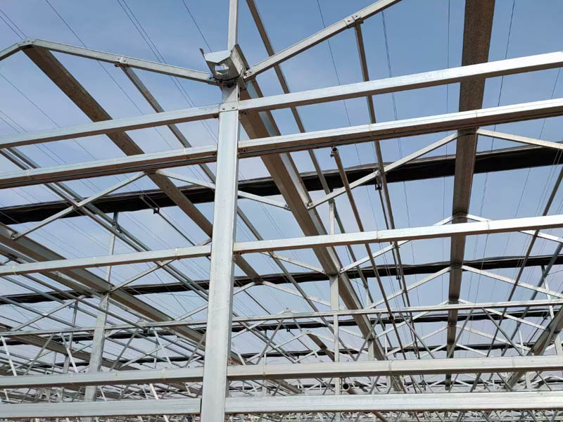 日光溫室大棚建設(shè)工程 日光溫室大棚建設(shè)工程