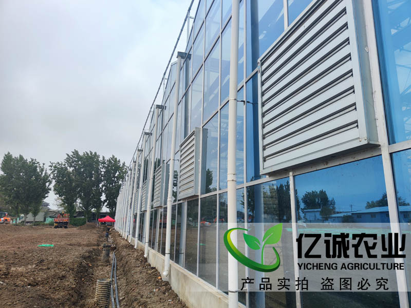 現(xiàn)代化智能溫室大棚建設(shè) 現(xiàn)代化智能溫室大棚建設(shè)