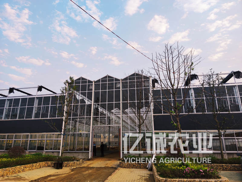 玻璃智能溫室大棚造價 玻璃智能溫室大棚造價