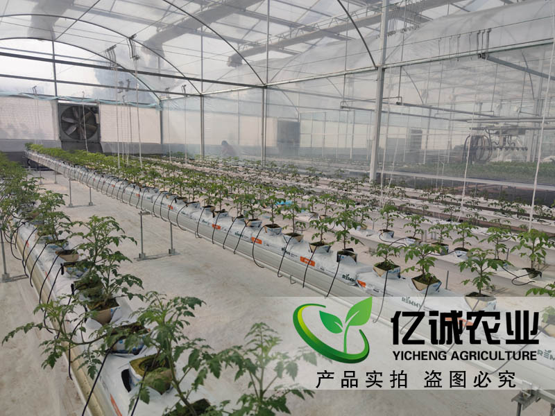 溫室大棚建設 溫室大棚建設