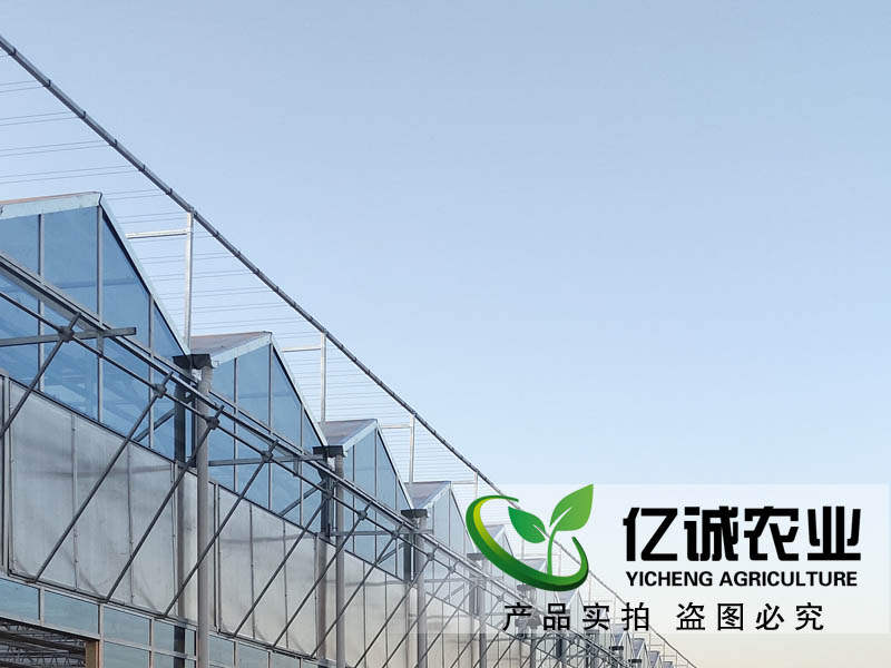 玻璃溫室每平方米報(bào)價(jià)多少？現(xiàn)代化智能溫室大棚造價(jià)？