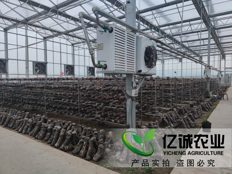 智能溫室大棚建設廠家 智能溫室大棚建設廠家