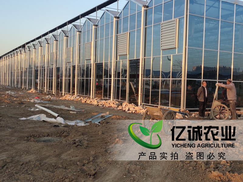 玻璃連棟溫室大棚 玻璃連棟溫室大棚