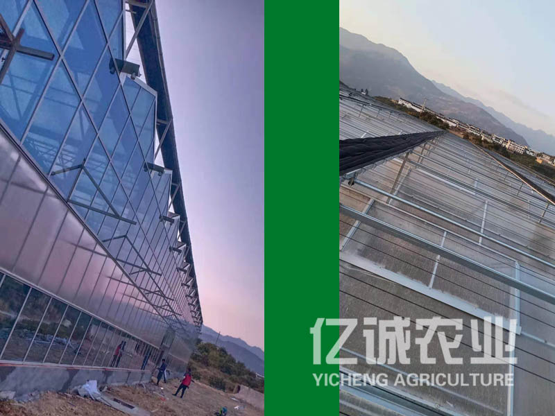 智能玻璃溫室大棚廠家 智能玻璃溫室大棚廠家