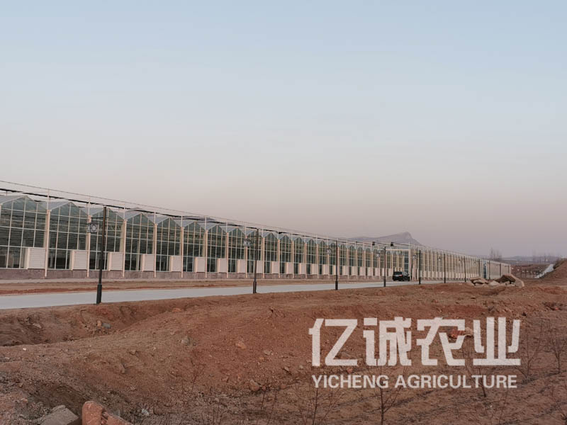 玻璃溫室工程建設 玻璃溫室工程建設