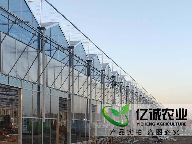 溫室工程建設(shè)廠家 溫室工程建設(shè)廠家