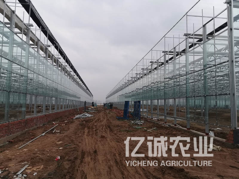 溫室工程建設(shè)廠家 溫室工程建設(shè)廠家