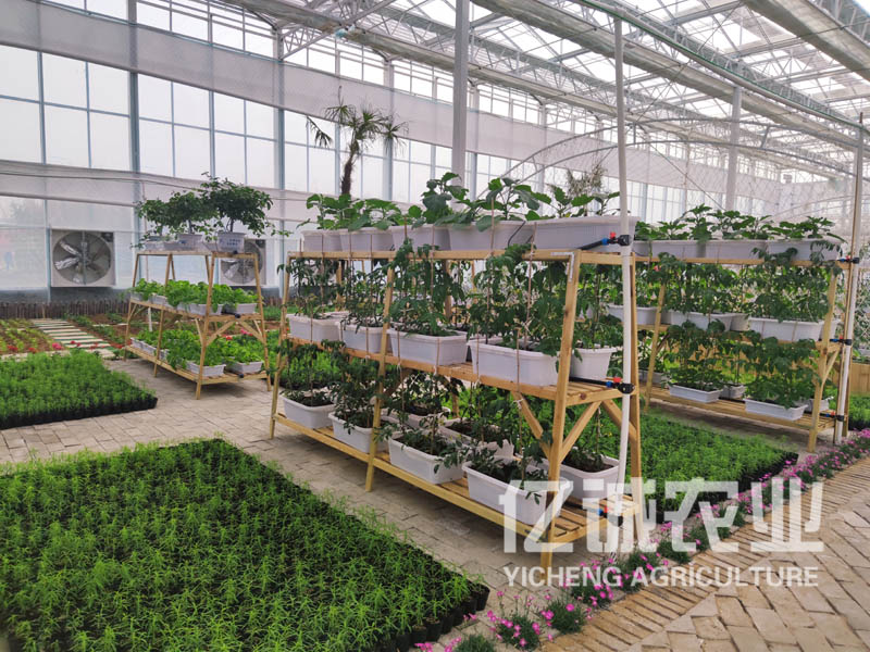 溫室大棚建設(shè) 溫室大棚建設(shè)