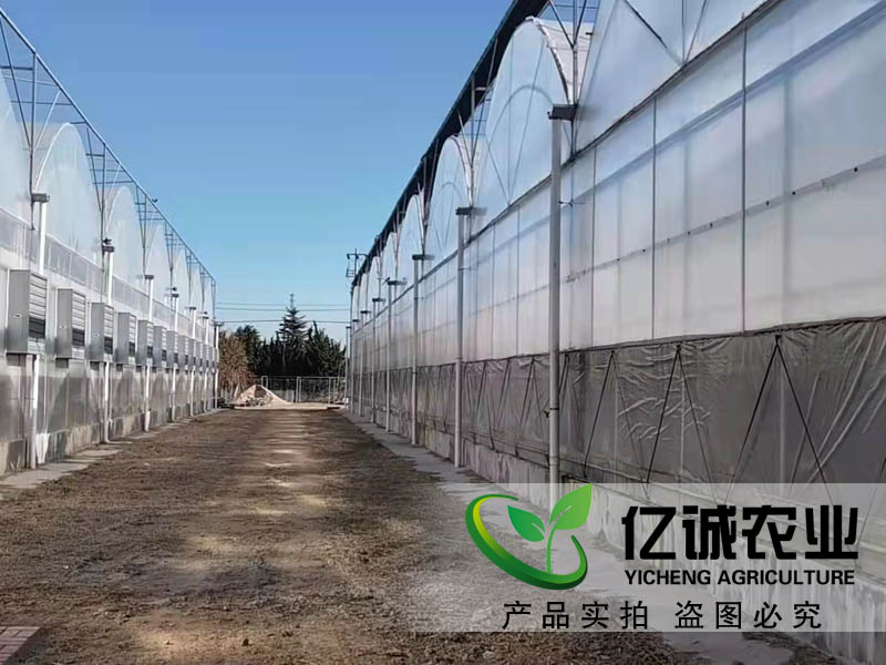 高端智能玻璃溫室大棚建設 高端智能玻璃溫室大棚建設