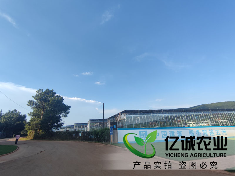 智能溫室玻璃大棚工程 智能溫室玻璃大棚工程