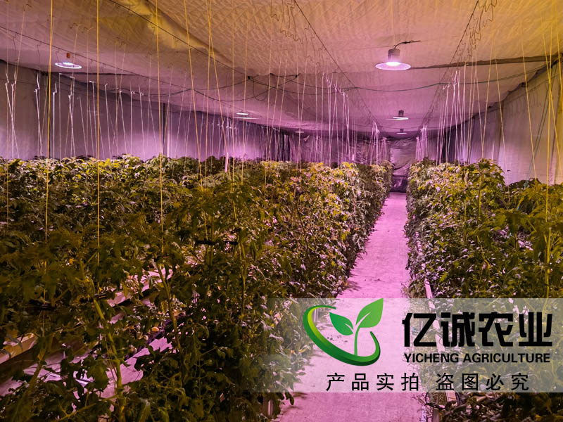 蔬菜大棚造價是如何計算的？