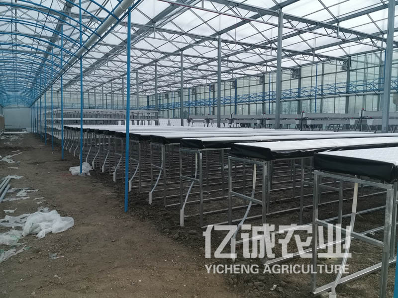 智能溫室大棚種植 智能溫室大棚種植