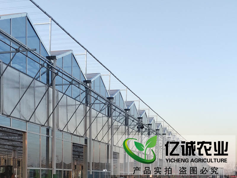 新型智能溫室大棚 新型智能溫室大棚