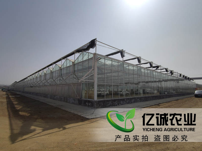 智能大棚 智能大棚