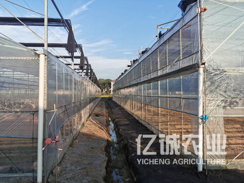 薄膜連棟溫室大棚建設工程 薄膜連棟溫室大棚建設工程