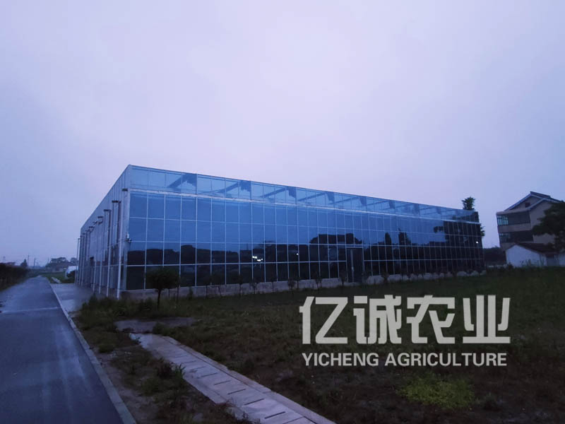 江蘇南通智能玻璃溫室 江蘇南通智能玻璃溫室