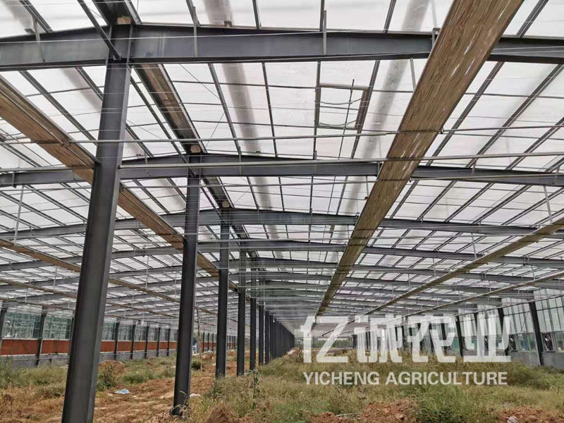 現(xiàn)代化連棟智能溫室建設(shè) 現(xiàn)代化連棟智能溫室建設(shè)
