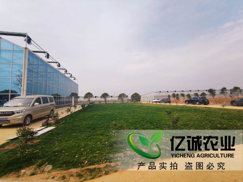 智慧農(nóng)業(yè)溫室大棚建設