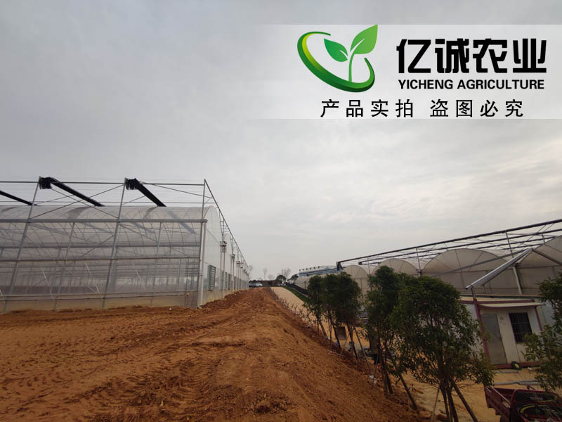 智慧農(nóng)業(yè)溫室大棚建設