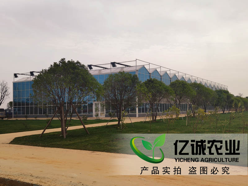 智慧農(nóng)業(yè)溫室大棚建設